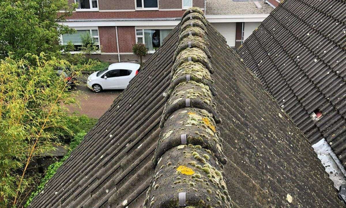 Renovatie van nokvorsten Odijk is nodig